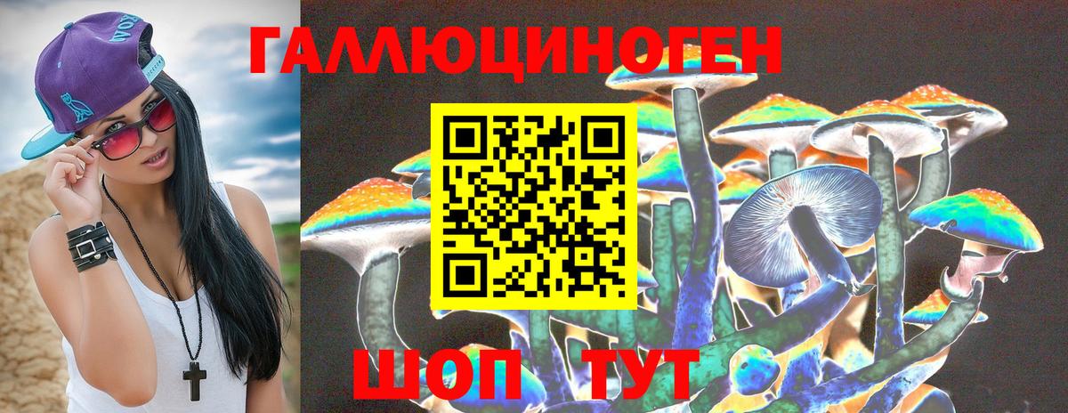 Чебоксары  Галлюциногенные грибы Psilocybe  Вход с VPN 